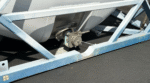 20-Fuß-Tankcontainer zu verkaufen – Bild 8
