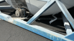 20-Fuß-Tankcontainer zu verkaufen – Bild 7